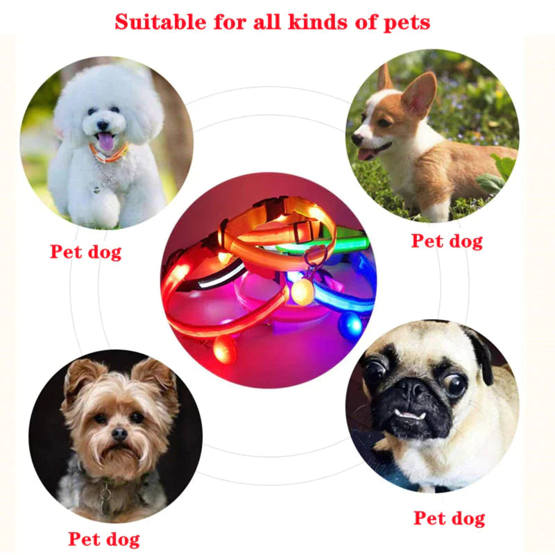Glow-in-the-Dark LED Adjustable Dog Collar - Waterproof & Safety Blinking Light for Pets