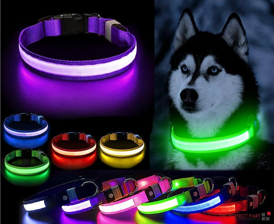 Glow-in-the-Dark LED Adjustable Dog Collar - Waterproof & Safety Blinking Light for Pets