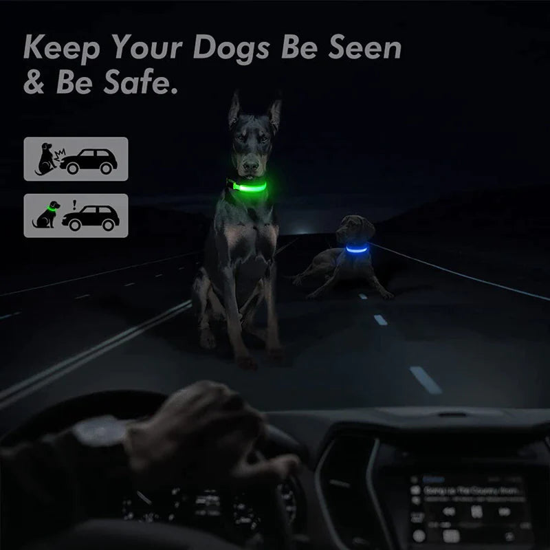 Glow-in-the-Dark LED Adjustable Dog Collar - Waterproof & Safety Blinking Light for Pets