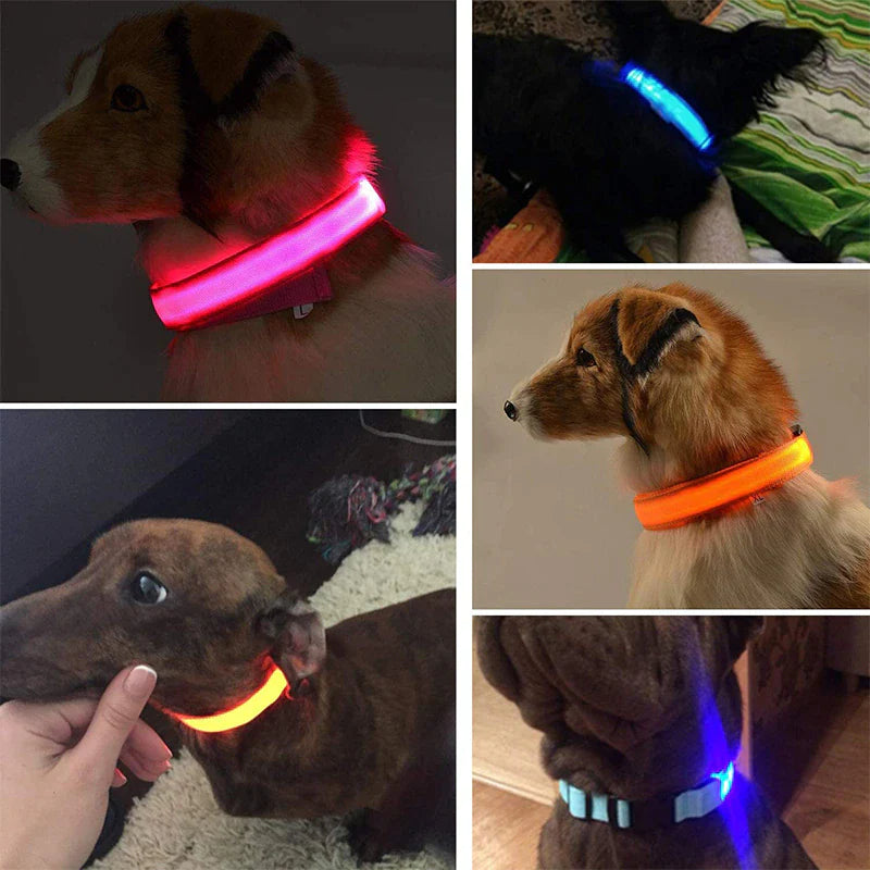 Glow-in-the-Dark LED Adjustable Dog Collar - Waterproof & Safety Blinking Light for Pets
