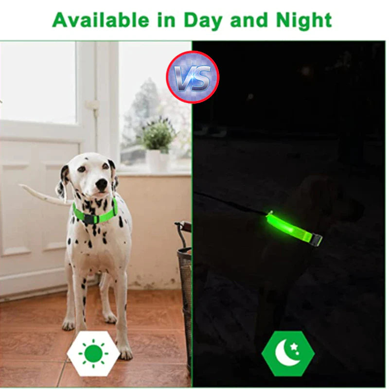 Glow-in-the-Dark LED Adjustable Dog Collar - Waterproof & Safety Blinking Light for Pets